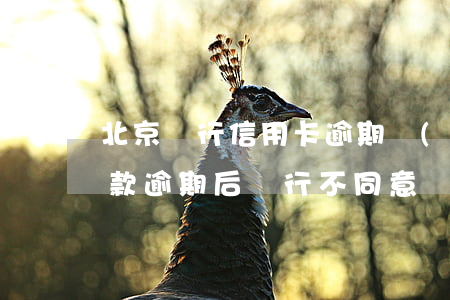 北京銀行信用卡逾期協(xié)商不了還款(逾期后銀行不同意協(xié)商還款)