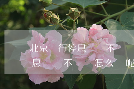 北京銀行停息掛賬不給辦怎么辦(北京銀行停息掛賬不給辦怎么辦呢)