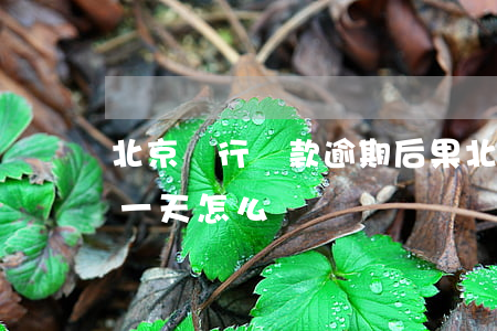 北京銀行貸款逾期后果(北京銀行還貸款晚了一天,怎么辦)