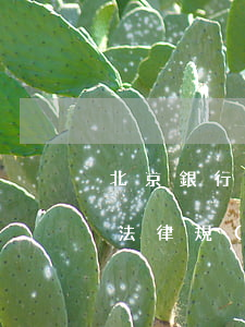 北京銀行還款逾期罰息(銀行逾期還款罰息的法律規(guī)定匯總)