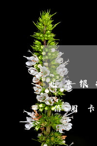 北京银行信用卡逾期3000元-北京银行信用卡逾期3000元怎么办