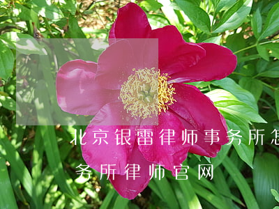 北京银雷律师事务所怎么样(北京银雷律师事务所律师官网)
