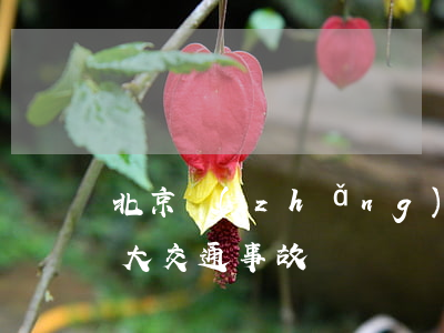 北京長(zhǎng)安街車禍(北京近期重大交通事故)