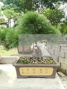 北京門頭溝最牛律師(北京門頭溝法院)