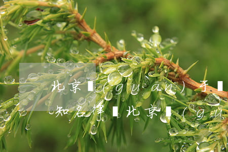 北京關(guān)于強(qiáng)拆知名律師(北京關(guān)于強(qiáng)拆知名律師來(lái)安陽(yáng))