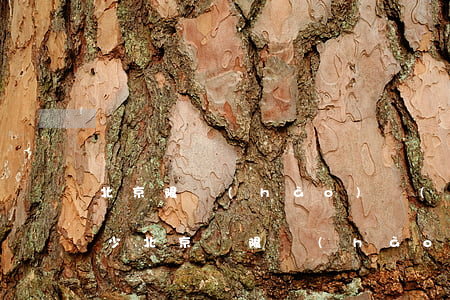 北京限號(hào)開(kāi)車罰款多少(北京車限號(hào)開(kāi)了一天罰多少錢)