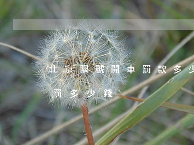 北京限號開車罰款多少(北京車限號開了一天罰多少錢)