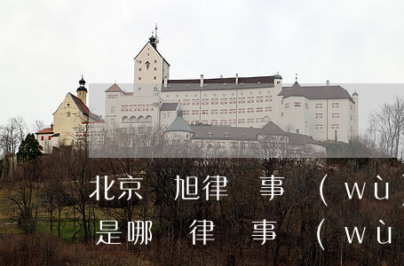北京陳旭律師事務(wù)所地址(陳旭律師是哪個律師事務(wù)所的)