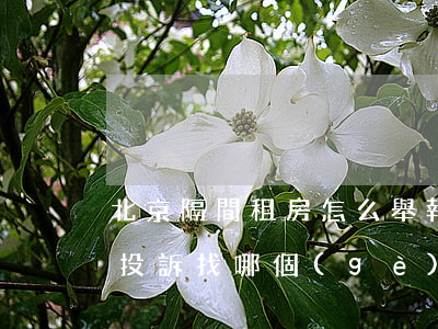 北京隔間租房怎么舉報(bào)(北京租房投訴找哪個(gè)部門(mén))
