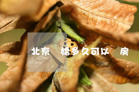北京離婚多久可以買房