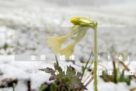 北京離婚律師費(fèi)用一般怎么收費(fèi)(離婚律師收費(fèi)是多少)