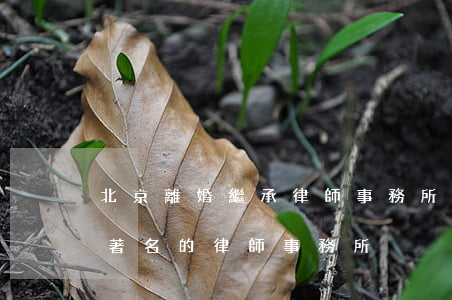北京離婚繼承律師事務所一審(北京離婚案件著名的律師事務所)