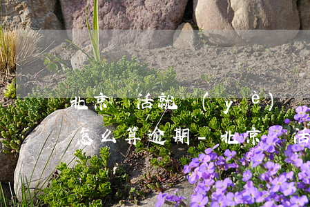 北京靈活就業(yè)狀況報(bào)告怎么算逾期-北京靈活就業(yè)狀況報(bào)告逾期上報(bào)了怎么填寫