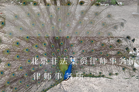 北京非法集资律师事务所(北京经济刑事案件律师事务所)