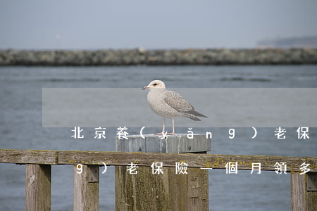 北京養(yǎng)老保險(北京養(yǎng)老保險一個月領多少錢)