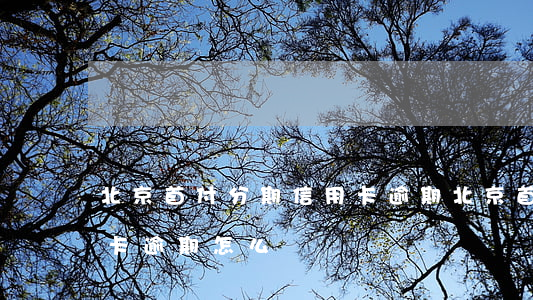 北京首付分期信用卡逾期(北京首付分期信用卡逾期怎么辦)
