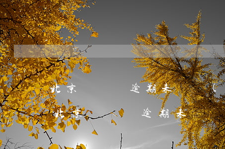 北京駕駛證逾期未審驗(yàn)怎么處理(北京駕駛證逾期未審驗(yàn)怎么處理流程)