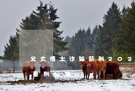 北大博士诈骗获刑 2022年最新诈骗罪的量刑标准
