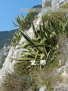 北市區(qū)債務(wù)糾紛律師