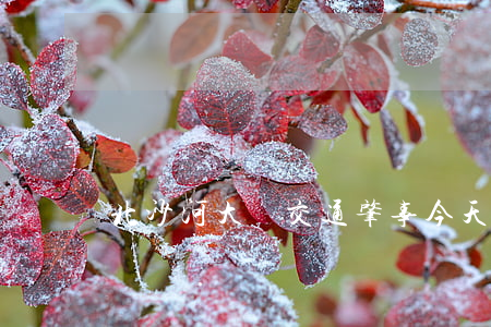 北沙河大橋交通肇事(今天南沙大橋交通事故)