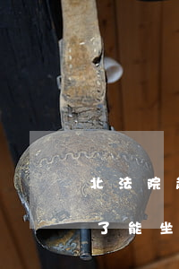 北法院起訴后可以坐飛機(jī)嗎(被起訴了能坐飛機(jī)嗎)