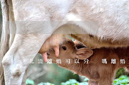 北流離婚可以分戶嗎(離婚后不遷戶口僅分戶)