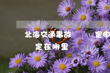 北海交通事故傷殘鑒定申請怎么寫(北海傷殘鑒定在哪里)