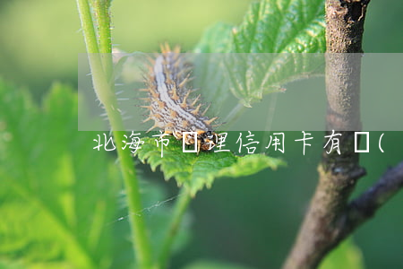 北海市辦理信用卡有網(wǎng)貸逾期
