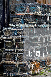北海律师事务所排名(北海哪个刑事律师比较好)