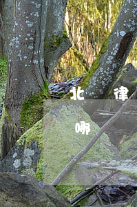 北滘律師事務所有哪幾間(北滘律師事務所有哪幾間)