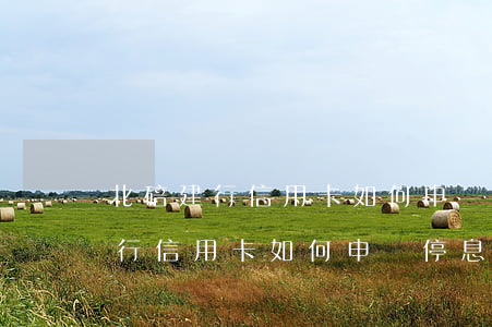 北碚建行信用卡如何申請停息掛賬-北碚建行信用卡如何申請停息掛賬業(yè)務