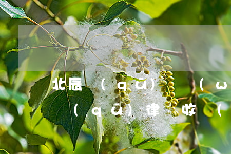 北辰區(qū)債務(wù)律師官司 北辰區(qū)律師收費(fèi)標(biāo)準(zhǔn)