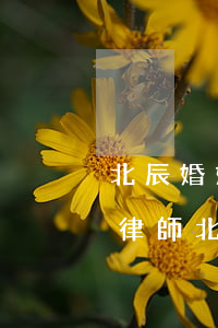 北辰婚姻財(cái)產(chǎn)糾紛律師(北京婚姻財(cái)產(chǎn)糾紛律師)