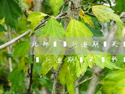 北部灣銀行逾期幾天會影響征信嗎-北部灣銀行逾期幾天會影響征信嗎知乎
