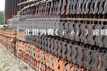 北銀消費(fèi)逾期一天會上征信嗎