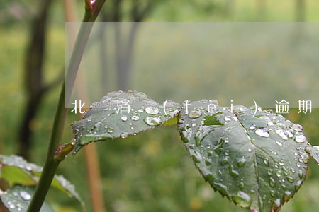 北銀消費(fèi)逾期了怎么辦