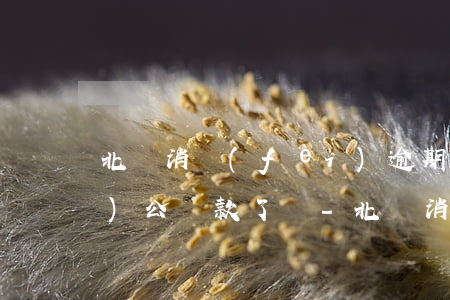 北銀消費(fèi)逾期就只能對(duì)公還款了嗎-北銀消費(fèi)逾期就只能對(duì)公還款了嗎怎么辦