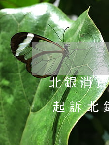 北銀消費(fèi)金融多久會(huì)起訴（北銀消費(fèi)逾期多久會(huì)起訴）