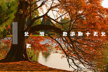 北銀消費貸款逾期十天(北銀消費貸款逾期十天)