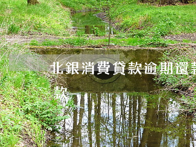 北銀消費貸款逾期還款(北銀消費貸款逾期還款)
