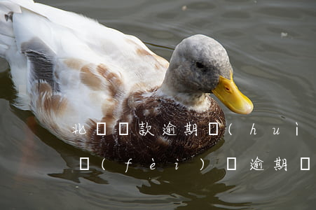 北銀貸款逾期會(huì)被起訴嗎(北銀消費(fèi)貸逾期會(huì)起訴)