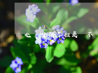 北銀逾期了但是還不進去(北銀倒閉了嗎?)