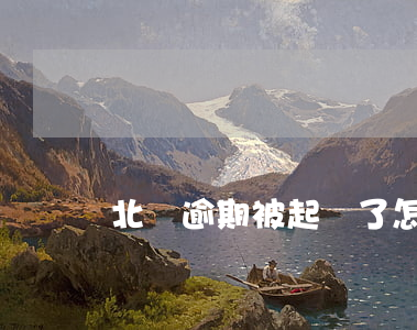 北銀逾期被起訴了怎么辦