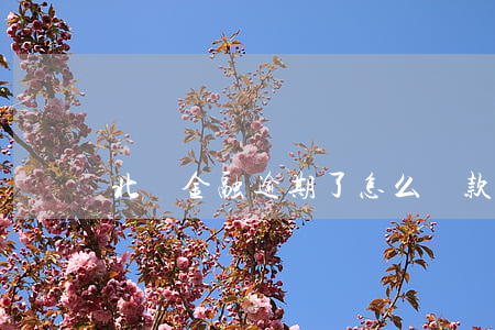 北銀金融逾期了怎么還款(北銀還款方式)