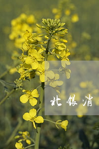 北银消费贷款逾期起诉 北银消费贷最新消息