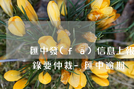 匯中發(fā)信息上報(bào)逾期記錄要仲裁-匯中 逾期