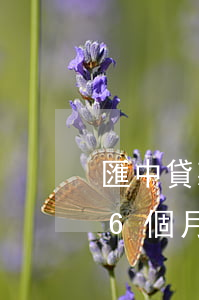 匯中貸款逾期16個月(中國銀行房貸逾期16個月)