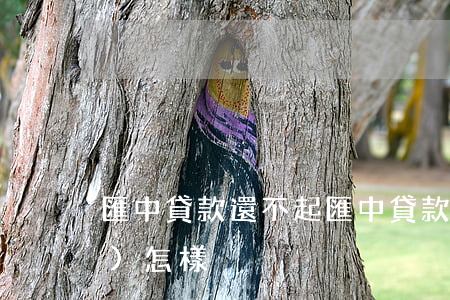 匯中貸款還不起(匯中貸款不還款會(huì)怎樣)