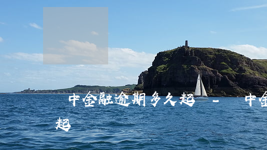 匯中金融逾期多久起訴-匯中金融逾期多久起訴