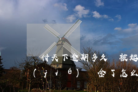 匯付天下逾期多久會被起訴 被匯付天下凍結(jié)資金了怎么辦